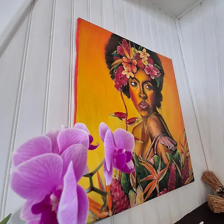 Maison L'atelier Creole Avec Jardin Et Terrasse Couverte *